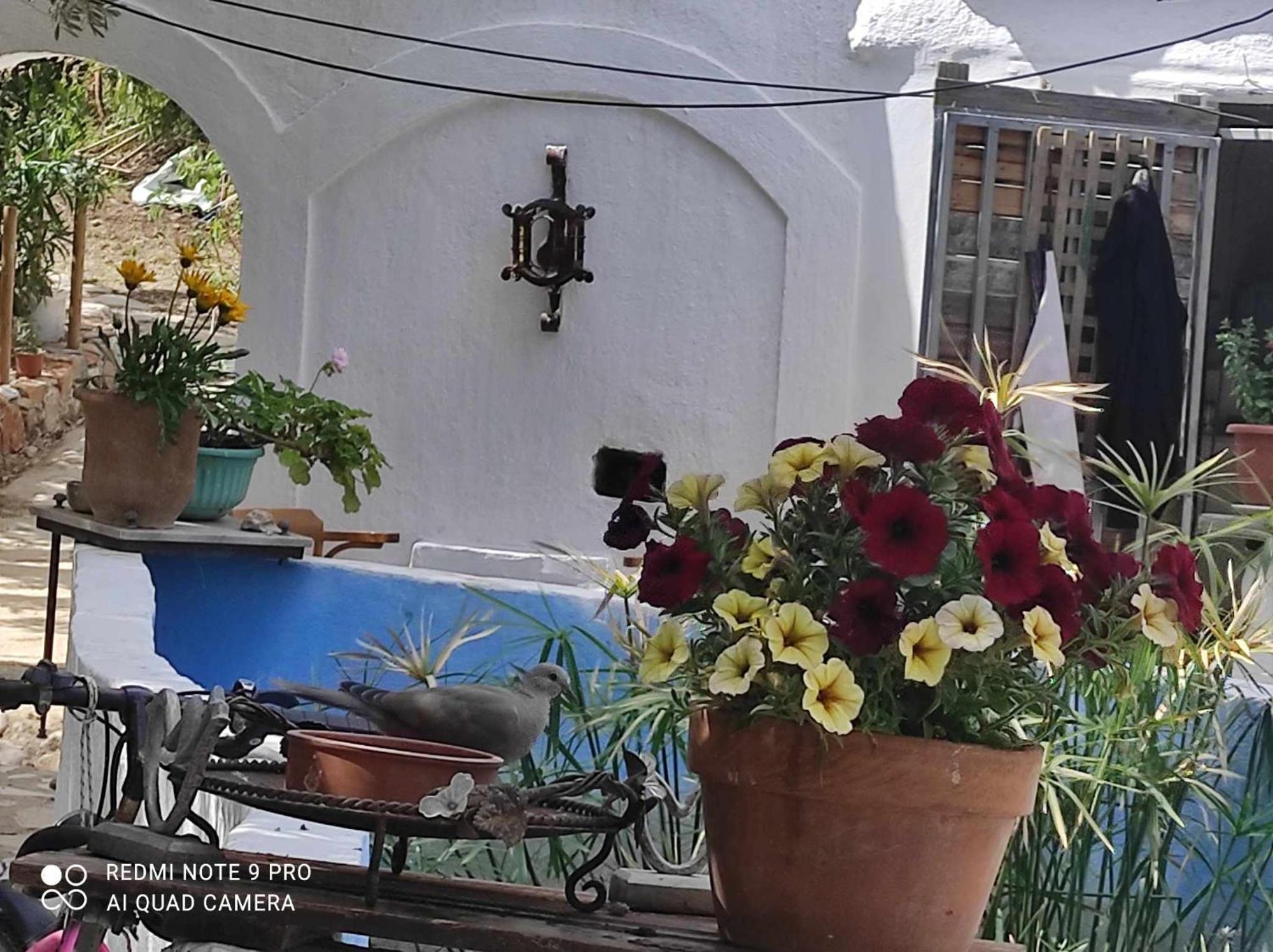 Gabriellas Garden Palaiokastro  Exterior photo